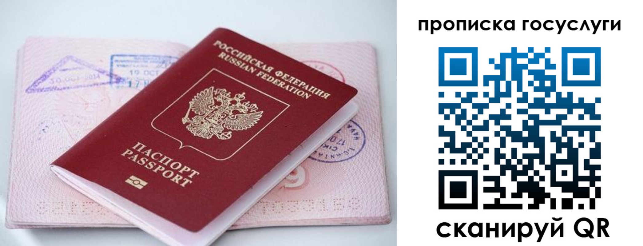 прописка законно в Новой Ляле